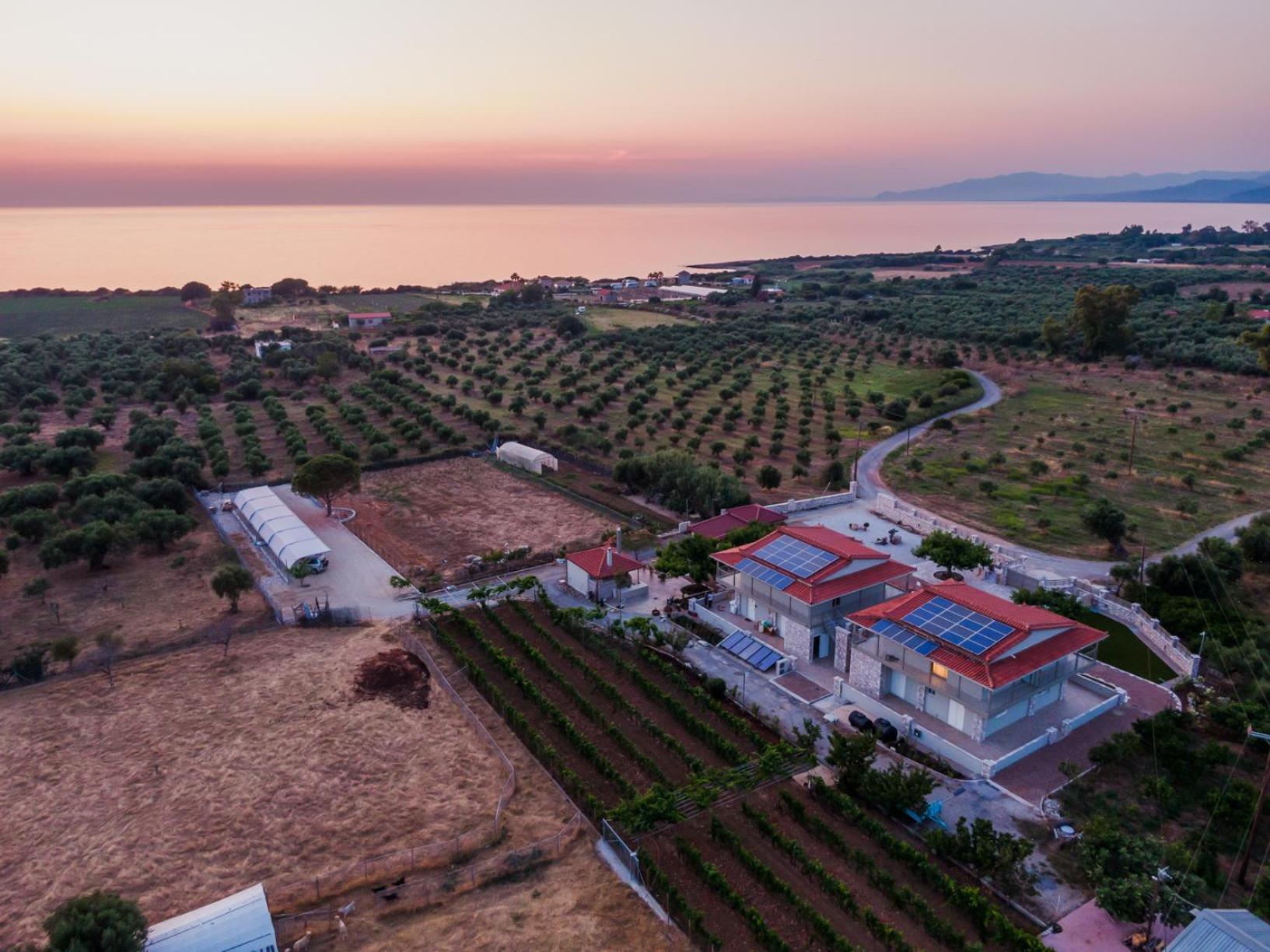Terra Helios Suites & Studios Kyparissia Bagian luar foto