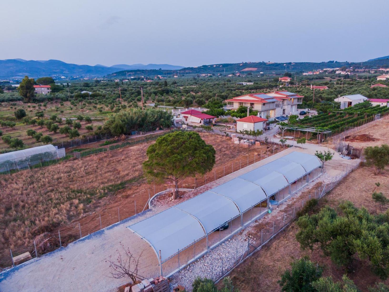 Terra Helios Suites & Studios Kyparissia Bagian luar foto
