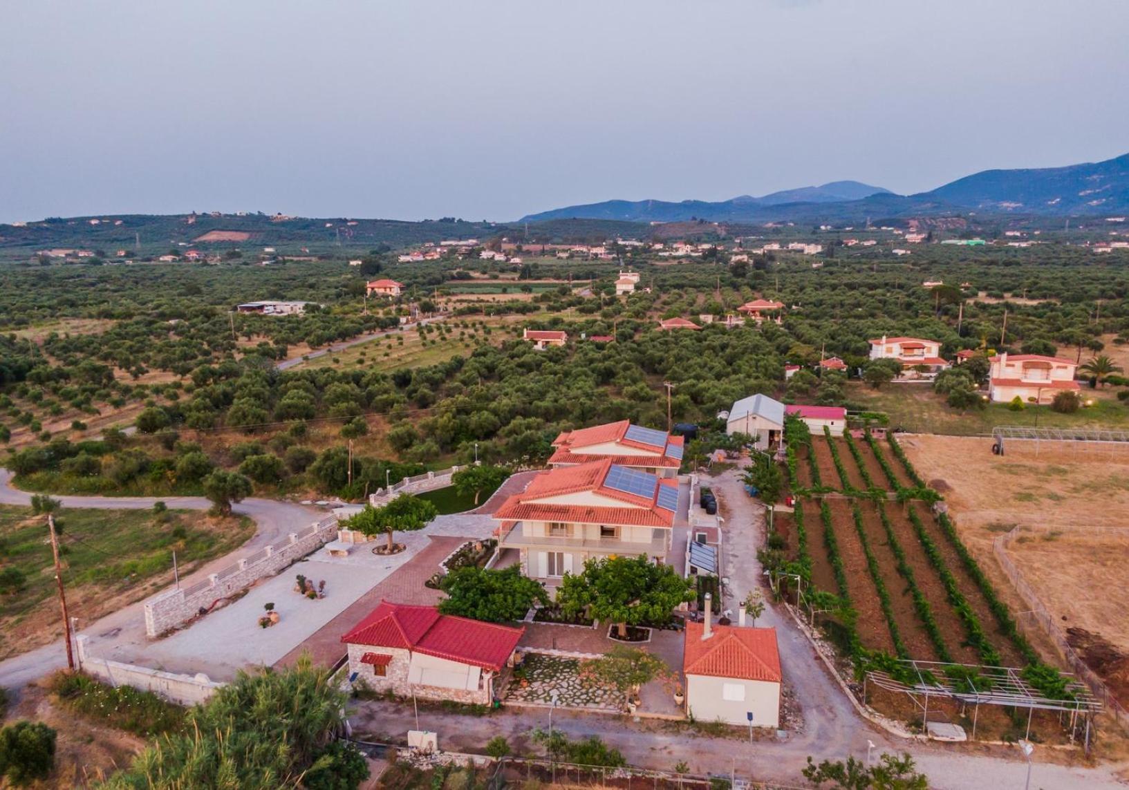 Terra Helios Suites & Studios Kyparissia Bagian luar foto